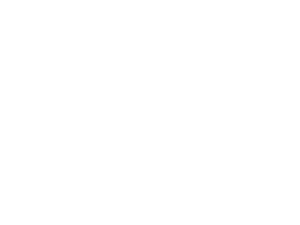 SpurWing Website Covers and Assets INTENSE TRANP ICON(25)